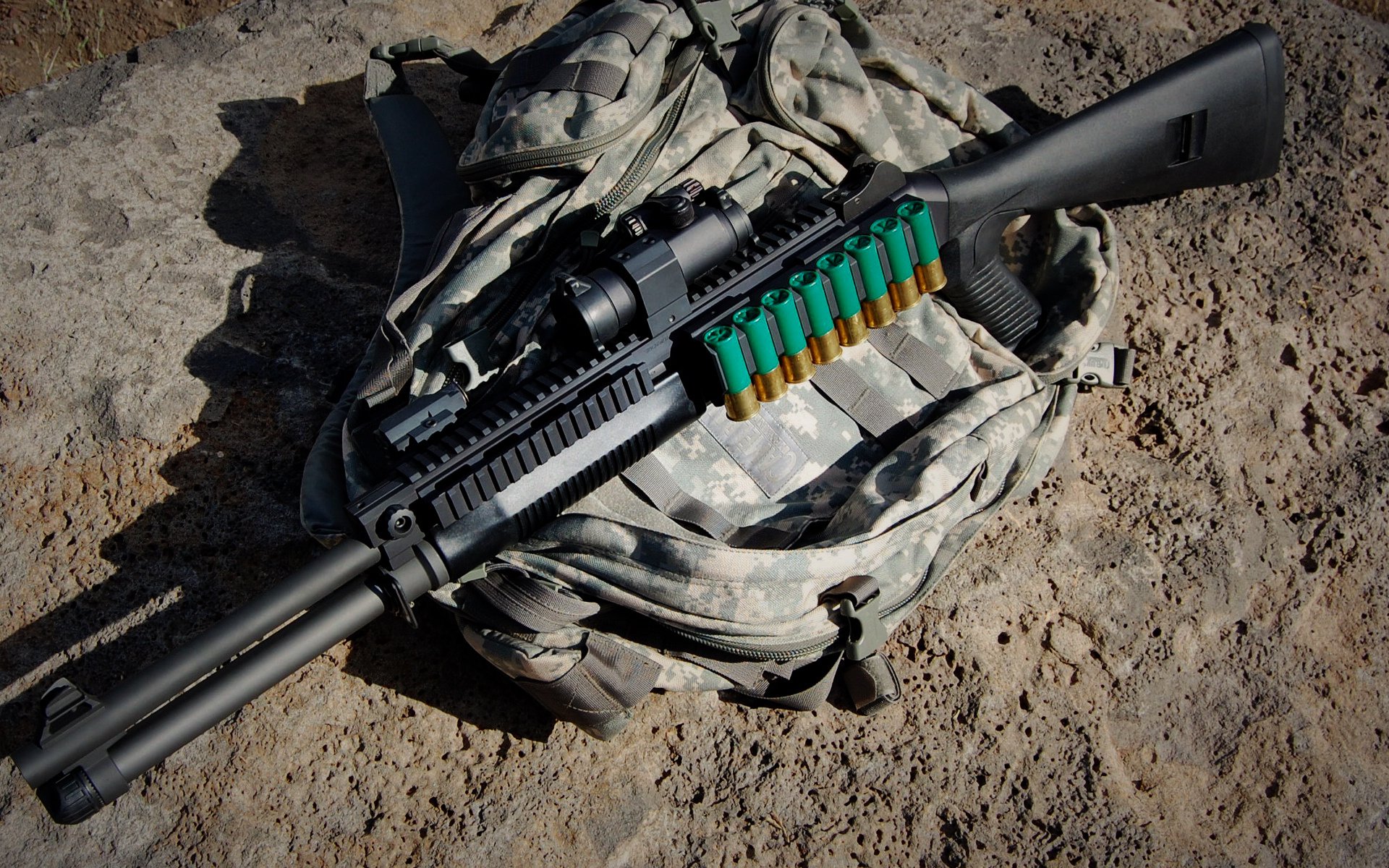 _名师讲座：运动训练中的科学方法_，运动训练的科学化