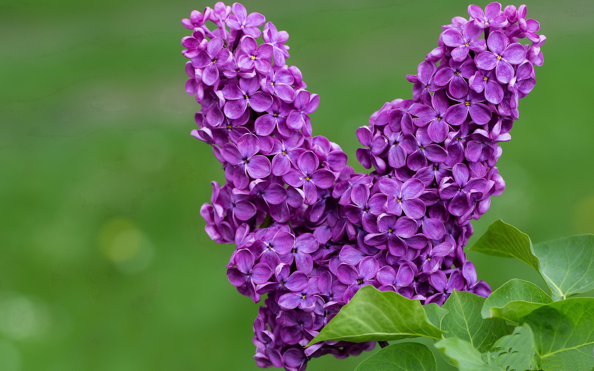 九游登录中心-“沿海飙风：海岸线上的极速狂飙”，沿海岸线奔跑