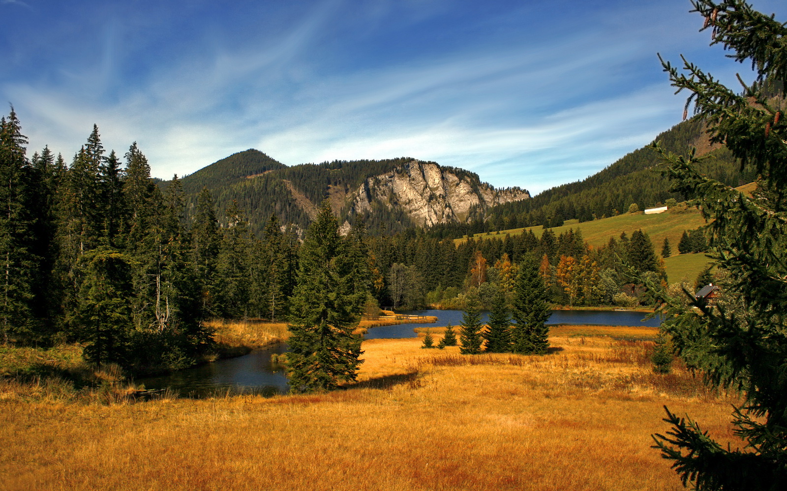 中国男篮集训营新战术理念引领训练新风潮,中国男篮集训队在干什么