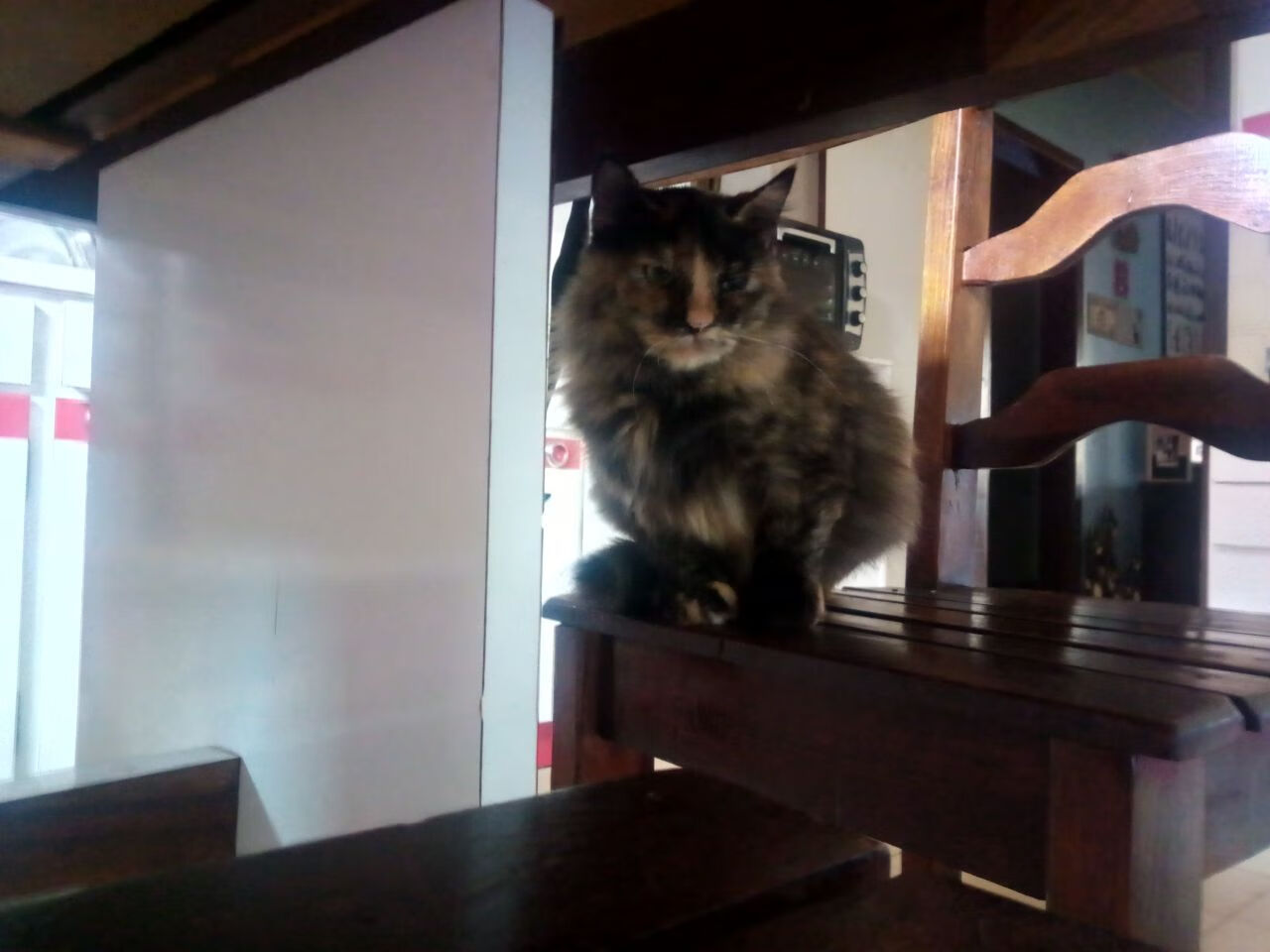 巴西男足连续四届奥运会参赛纪录终结，巴西男足得过几次奥运会冠军