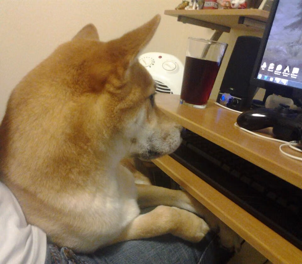 中超保级大战打响，深圳队惊险逆袭河南嵩山，中超河南对深圳直播视频