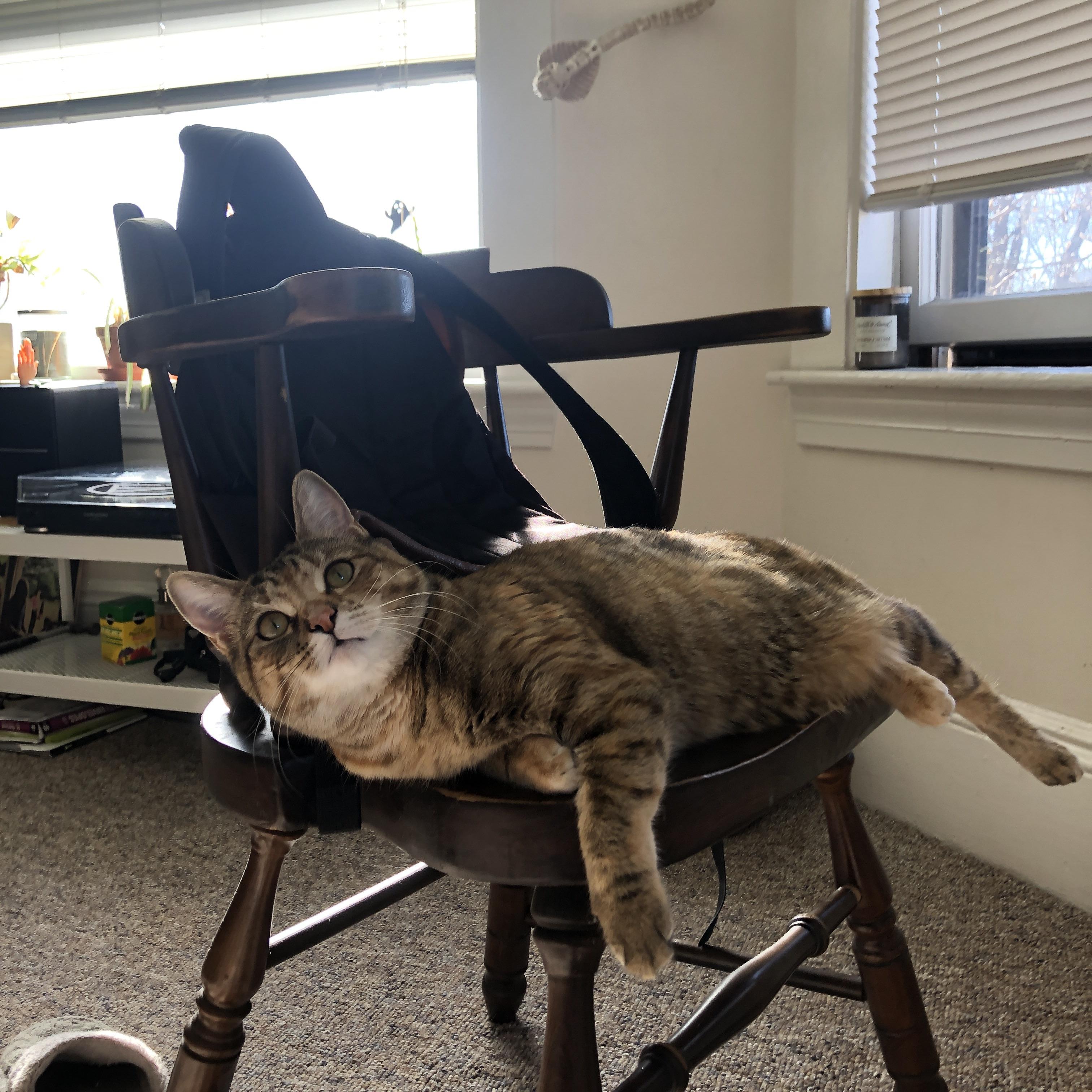 勇士击败快船库里三分准如雷,勇士打快船库里超远三分是哪一场