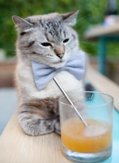 九游娱乐(jiuyou)官网-掘金溃败约基奇表现低迷，掘金选中约基奇