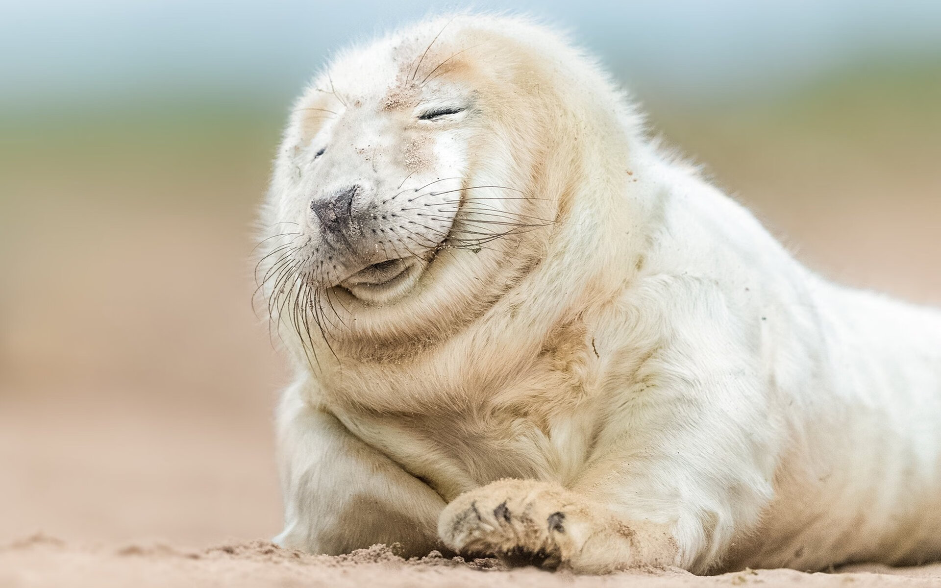 九游官网pc-热血比赛中球员们豪情万丈，战至最后，热血篮球球员