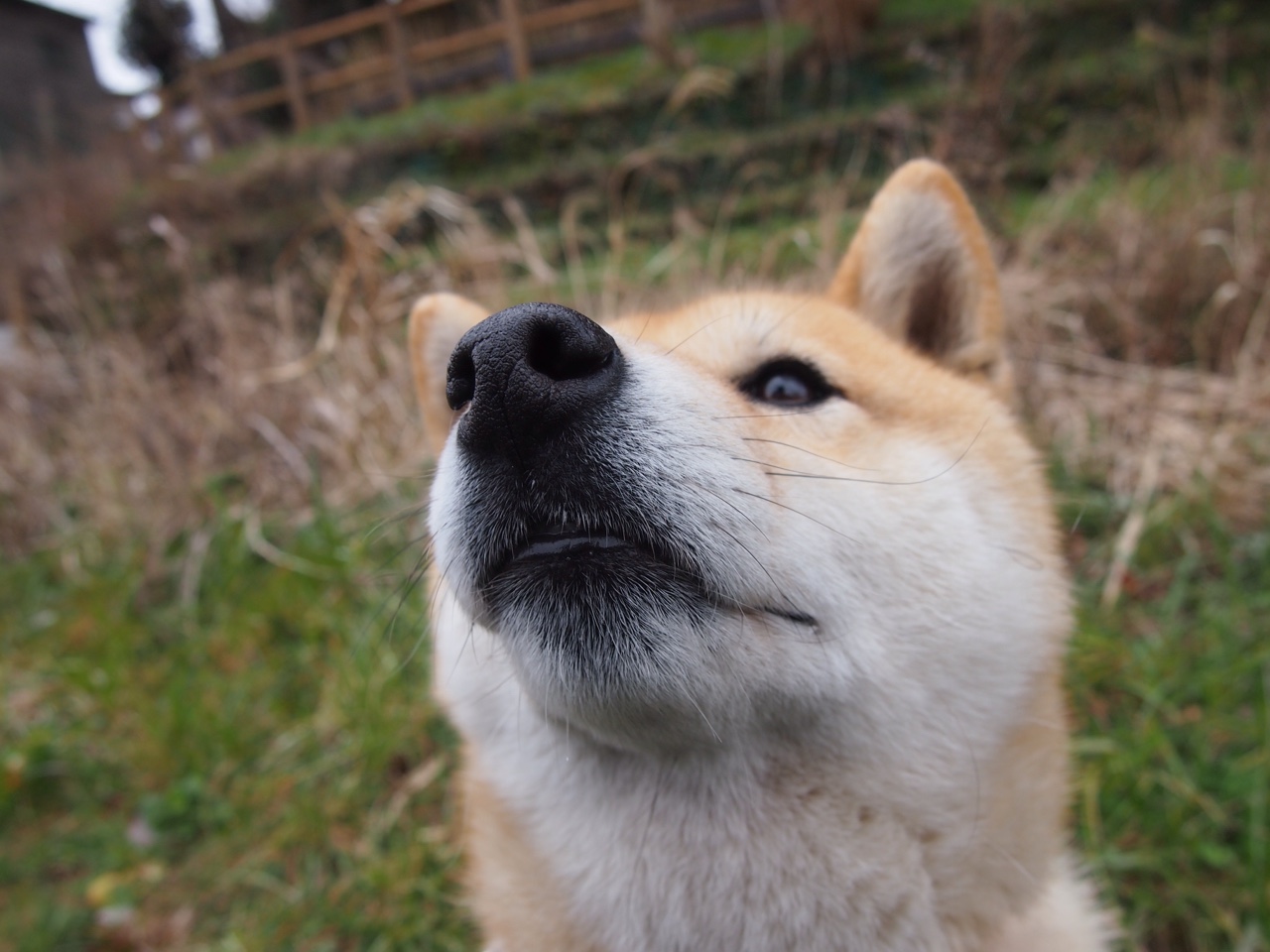 电竞游戏开发中的竞技机制设计与玩家反馈融合分析,电竞游戏项目项目介绍