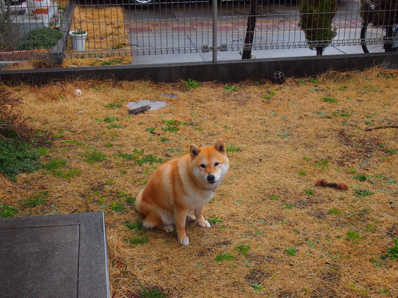 九游sports-腾讯电竞赛事吸引全球顶尖战队，腾讯电竞抵达梦想的另一种道路