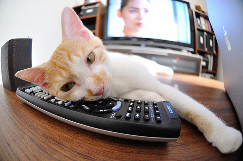 阿尔阿赫利青训营培养新星，未来可期，阿尔阿赫利埃及