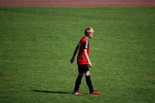 -NBA球员高原训练对平原比赛状态的影响，平原运动员进行高原训练原因