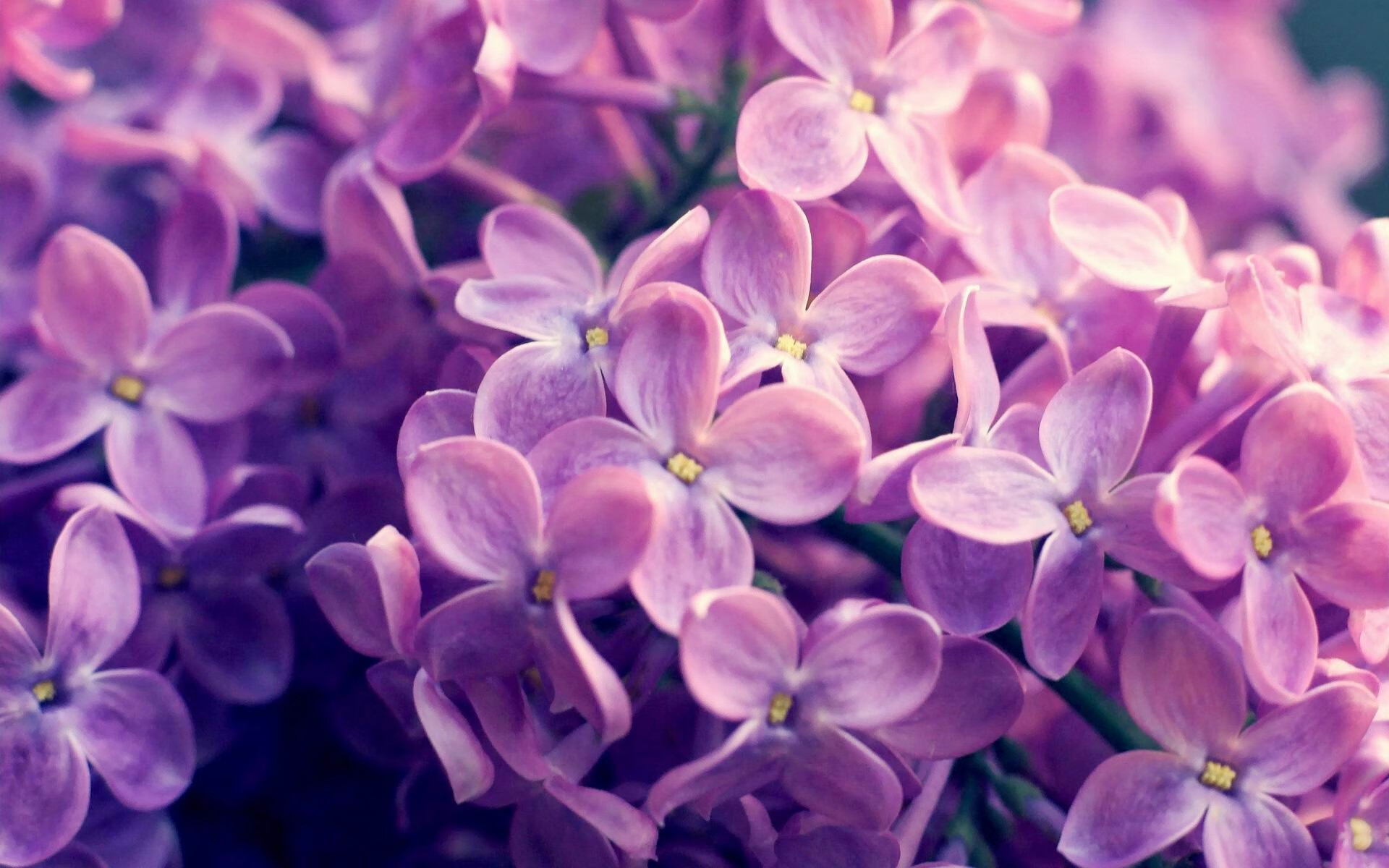 法甲球队通过视频语义图分析优化定位球战术布置，法甲球队地图