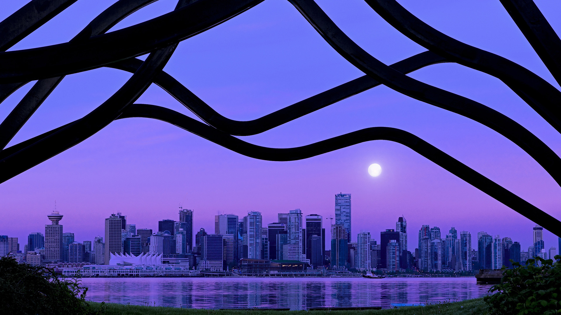 运动员伤病预防与康复体系，运动员的运动创伤及预防