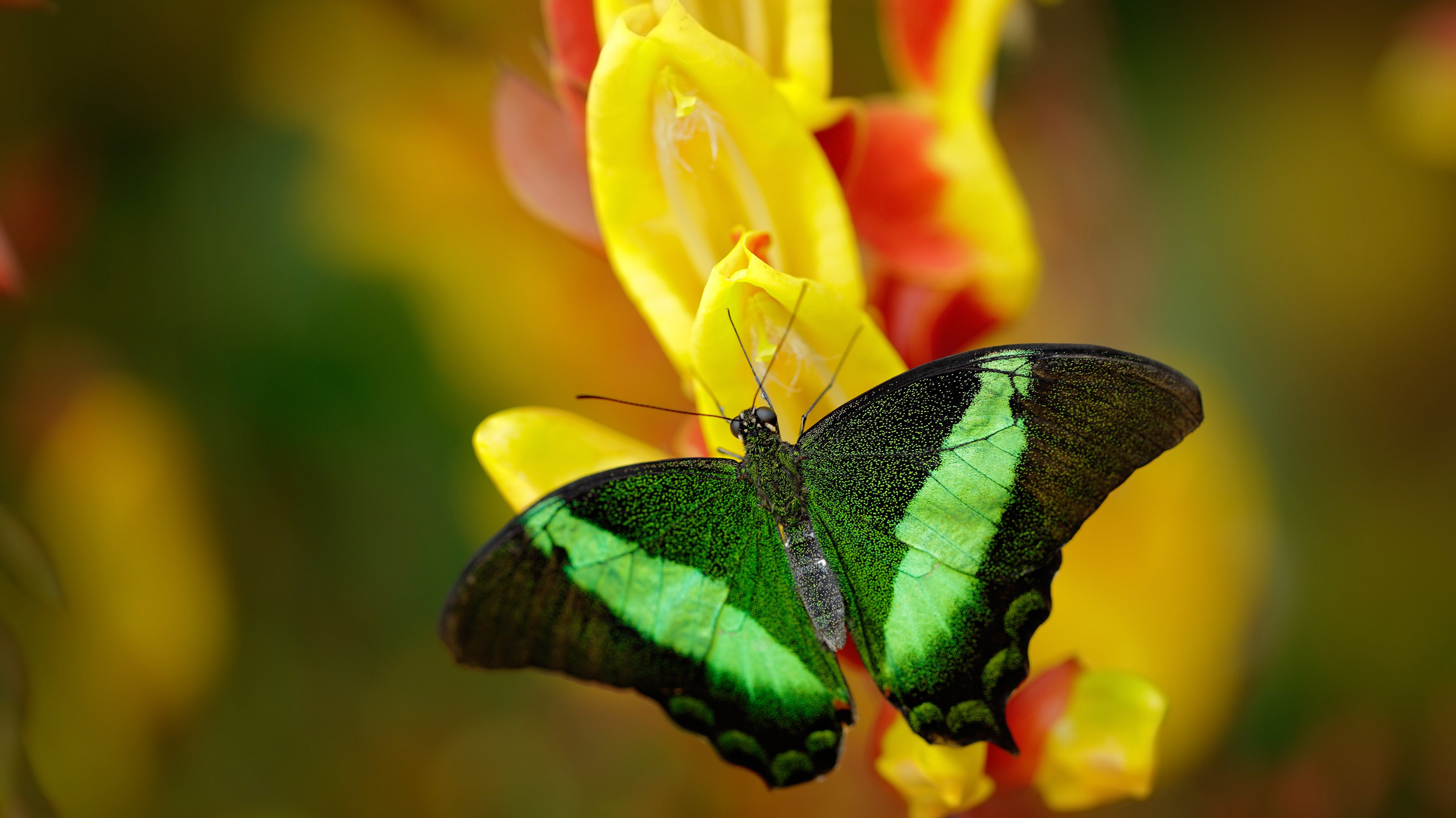 青少年运动损伤预防措施研究，青少年运动防护和损伤的预防