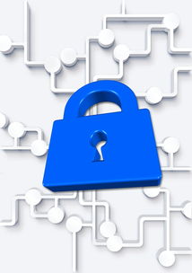 九游下载安装-高校体育社团管理数字化平台构建方案，全国性体育社团