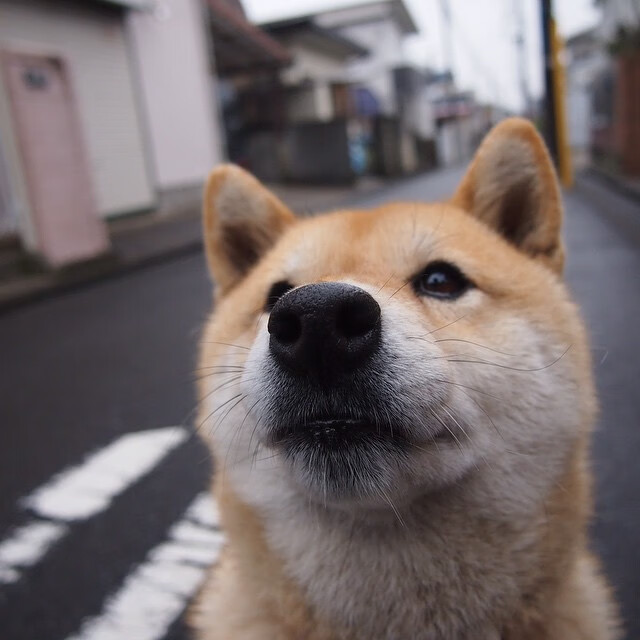 九游sports-高校射箭联赛展开角逐 展现传统魅力，高校射箭比赛