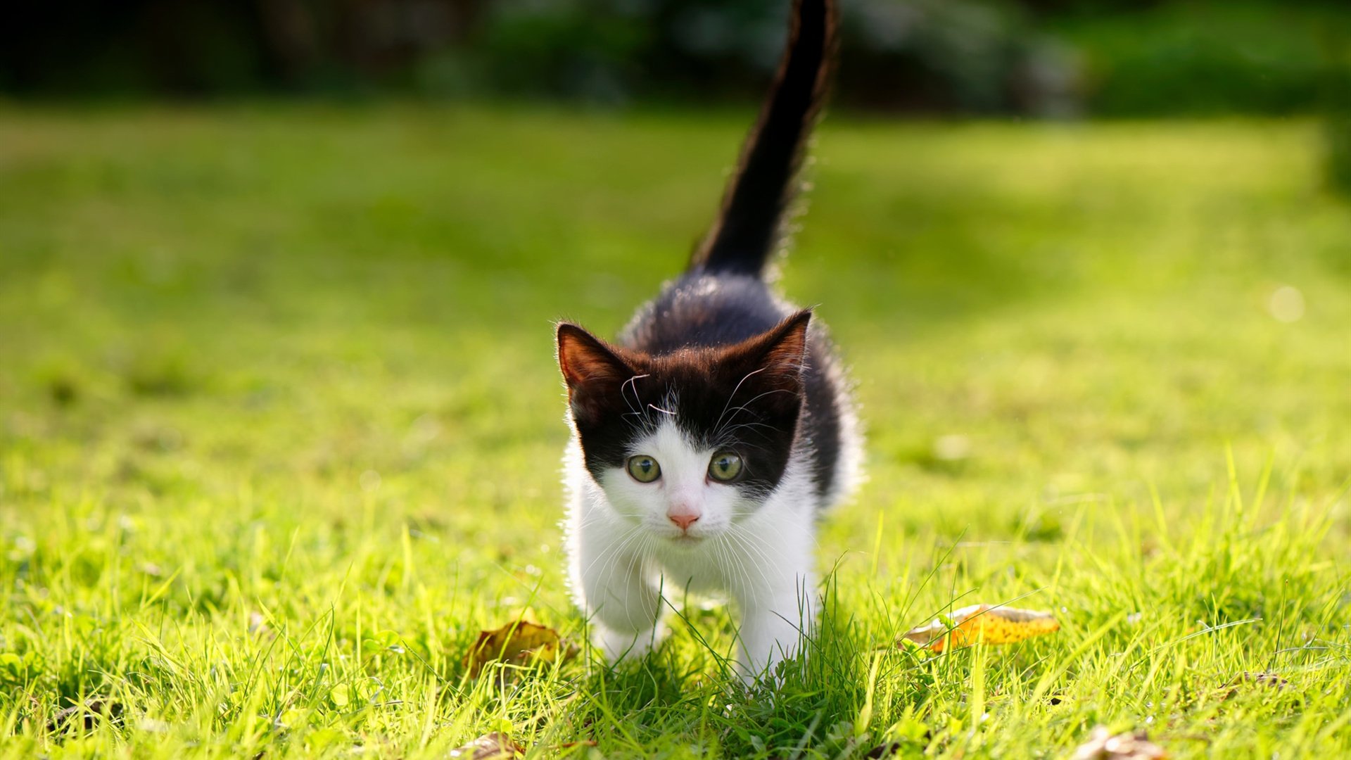 体育明星公益捐赠物资送达边远山区，体育明星公益活动