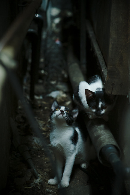 九游娱乐-张伟丽与冠军对练提前适应强度，张伟丽冠军赛几月几号