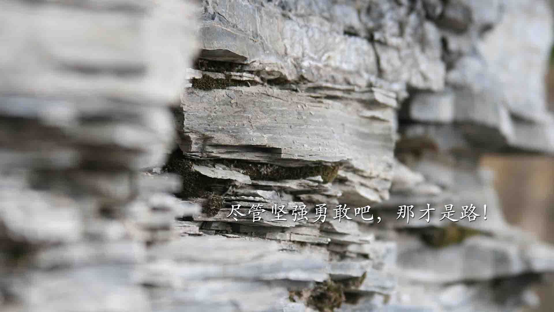 九游登录中心-杰克·阿莱克西决赛表现成为焦点话题，杰克 克莱娜