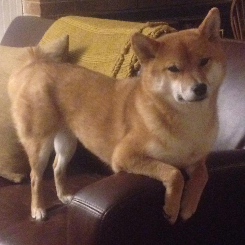 九游登录中心-特色足球文化展览席卷全国各大城市，展现多元风采，足球文化博物馆