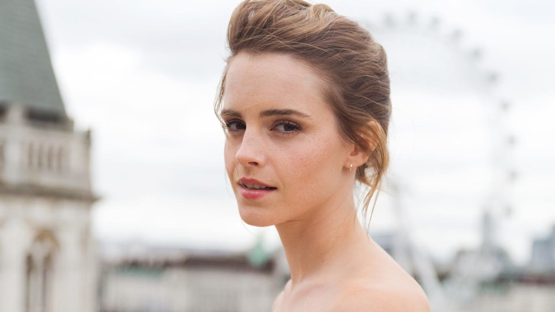 自由泳荷兰冲刺阶段稳如磐石,荷兰自由王国