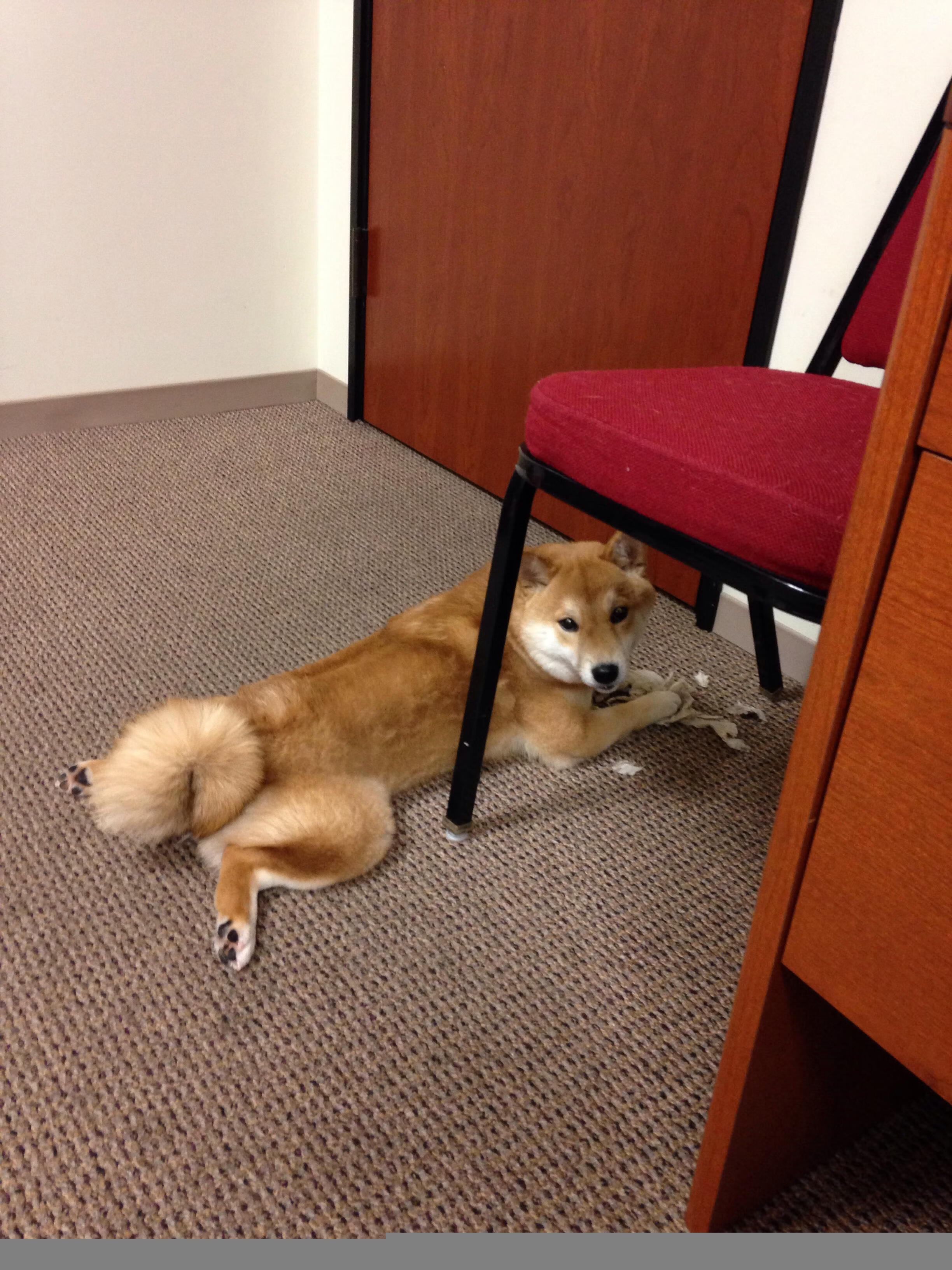 英超冠军最后冲刺：一场场“生死战”精彩绝伦